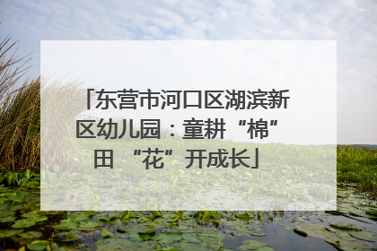 东营市河口区湖滨新区幼儿园：童耕“棉”田 “花”开成长