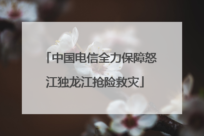 中国电信全力保障怒江独龙江抢险救灾