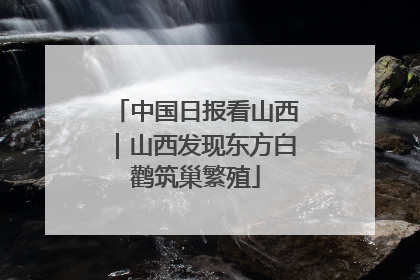 中国日报看山西｜山西发现东方白鹳筑巢繁殖