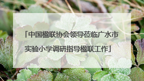 中国楹联协会领导莅临广水市实验小学调研指导楹联工作