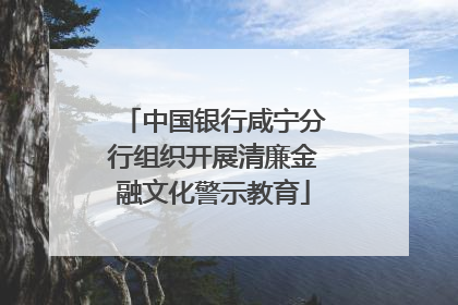中国银行咸宁分行组织开展清廉金融文化警示教育