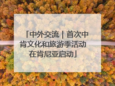 中外交流｜首次中肯文化和旅游季活动在肯尼亚启动