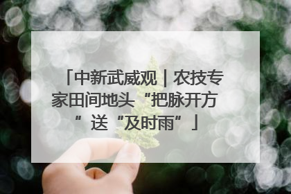 中新武威观｜农技专家田间地头“把脉开方”送“及时雨”