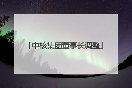 中核集团董事长调整