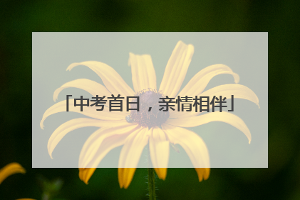 中考首日，亲情相伴