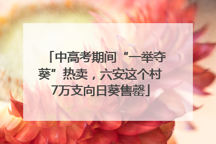 中高考期间“一举夺葵”热卖，六安这个村7万支向日葵售罄