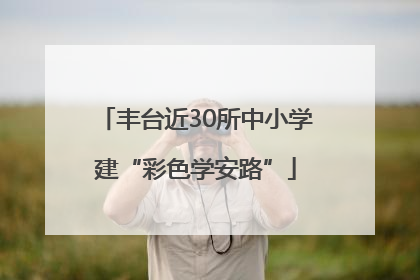 丰台近30所中小学建“彩色学安路”