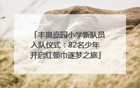 丰奥嘉园小学新队员入队仪式：82名少年开启红领巾逐梦之旅