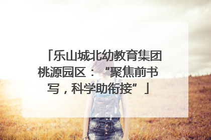 乐山城北幼教育集团桃源园区：“聚焦前书写，科学助衔接”