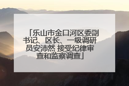 乐山市金口河区委副书记、区长、一级调研员安沛然 接受纪律审查和监察调查