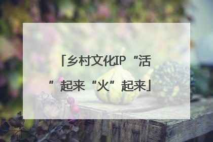 乡村文化IP“活”起来“火”起来