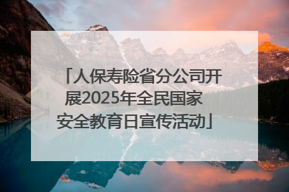 人保寿险省分公司开展2025年全民国家安全教育日宣传活动