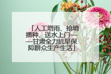 人工增雨、抢墒播种、送水上门——甘肃全力抗旱保障群众生产生活