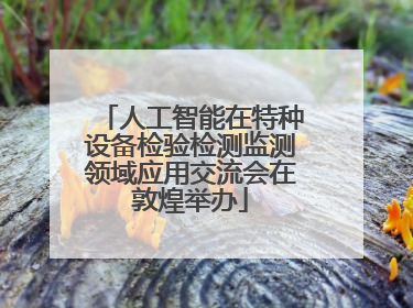 人工智能在特种设备检验检测监测领域应用交流会在敦煌举办