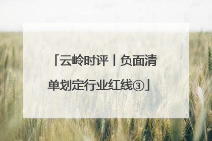 云岭时评丨负面清单划定行业红线③