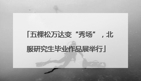 五棵松万达变“秀场”，北服研究生毕业作品展举行