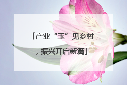 产业“玉”见乡村，振兴开启新篇