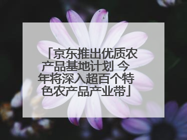 京东推出优质农产品基地计划 今年将深入超百个特色农产品产业带