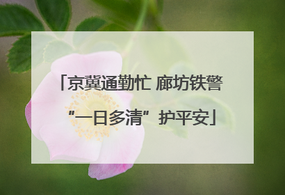 京冀通勤忙 廊坊铁警“一日多清”护平安