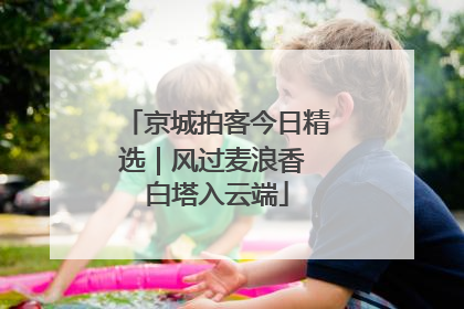 京城拍客今日精选｜风过麦浪香 白塔入云端
