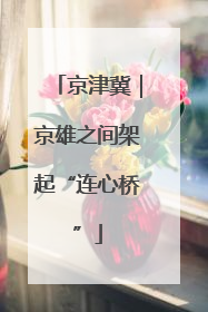 京津冀｜京雄之间架起“连心桥”