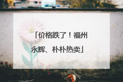 价格跌了！福州永辉、朴朴热卖