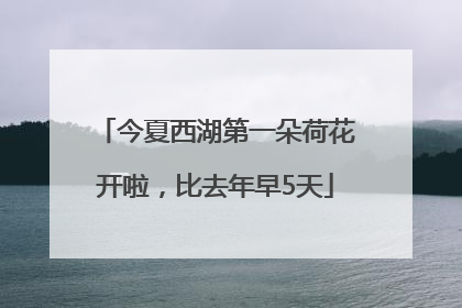今夏西湖第一朵荷花开啦，比去年早5天
