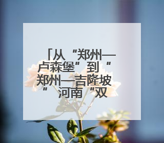 从“郑州—卢森堡”到“郑州—吉隆坡” 河南“双枢纽”模式如何走向全球