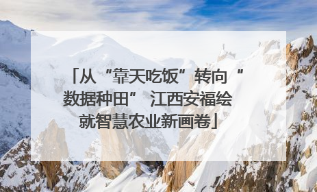 从“靠天吃饭”转向“数据种田” 江西安福绘就智慧农业新画卷