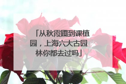 从秋霞圃到课植园，上海六大古园林你都去过吗