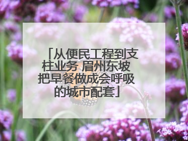 从便民工程到支柱业务 眉州东坡把早餐做成会呼吸的城市配套
