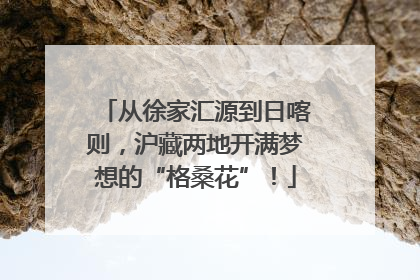 从徐家汇源到日喀则，沪藏两地开满梦想的“格桑花”！