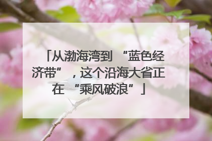 从渤海湾到 “蓝色经济带”，这个沿海大省正在 “乘风破浪”