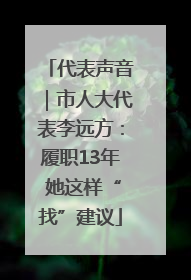 代表声音｜市人大代表李远方：履职13年 她这样“找”建议