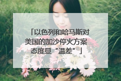 以色列和哈马斯对美国的加沙停火方案态度显“温差”