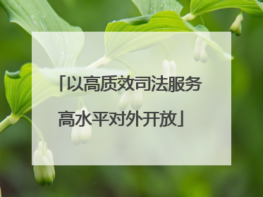 以高质效司法服务高水平对外开放
