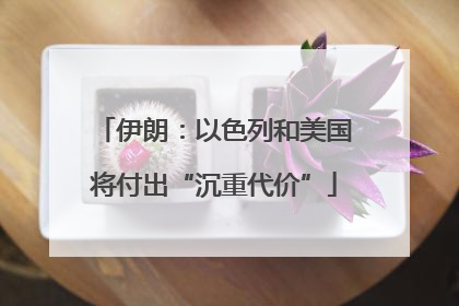 伊朗：以色列和美国将付出“沉重代价”