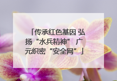 传承红色基因 弘扬“水兵精神” 广元织密“安全网”
