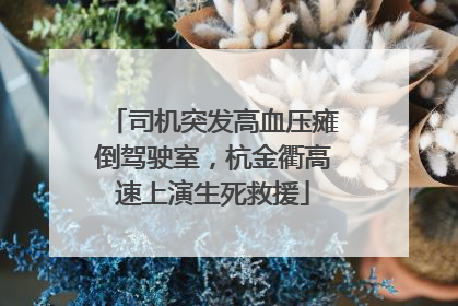 司机突发高血压瘫倒驾驶室，杭金衢高速上演生死救援