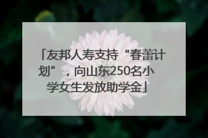友邦人寿支持“春蕾计划”，向山东250名小学女生发放助学金