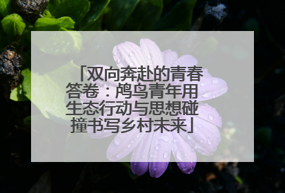 双向奔赴的青春答卷：鸬鸟青年用生态行动与思想碰撞书写乡村未来