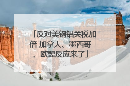 反对美钢铝关税加倍 加拿大、墨西哥、欧盟反应来了