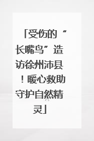 受伤的“长嘴鸟”造访徐州沛县！暖心救助守护自然精灵