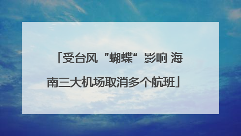 受台风“蝴蝶”影响 海南三大机场取消多个航班