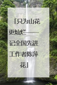 只为山花更灿烂——记全国先进工作者陈萍花