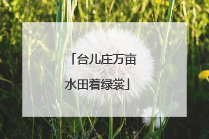 台儿庄万亩水田着绿裳