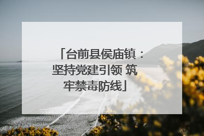 台前县侯庙镇：坚持党建引领 筑牢禁毒防线