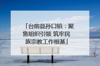 台前县孙口镇：聚焦组织引领 筑牢民族宗教工作根基