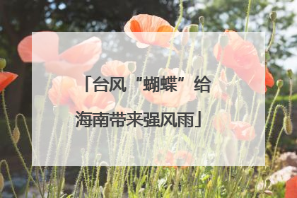 台风“蝴蝶”给海南带来强风雨
