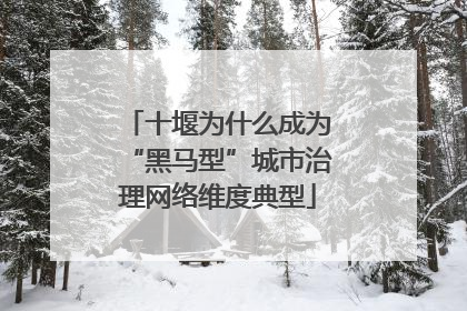 十堰为什么成为“黑马型”城市治理网络维度典型